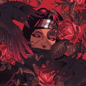 Meet your Posher, Abdarrahman